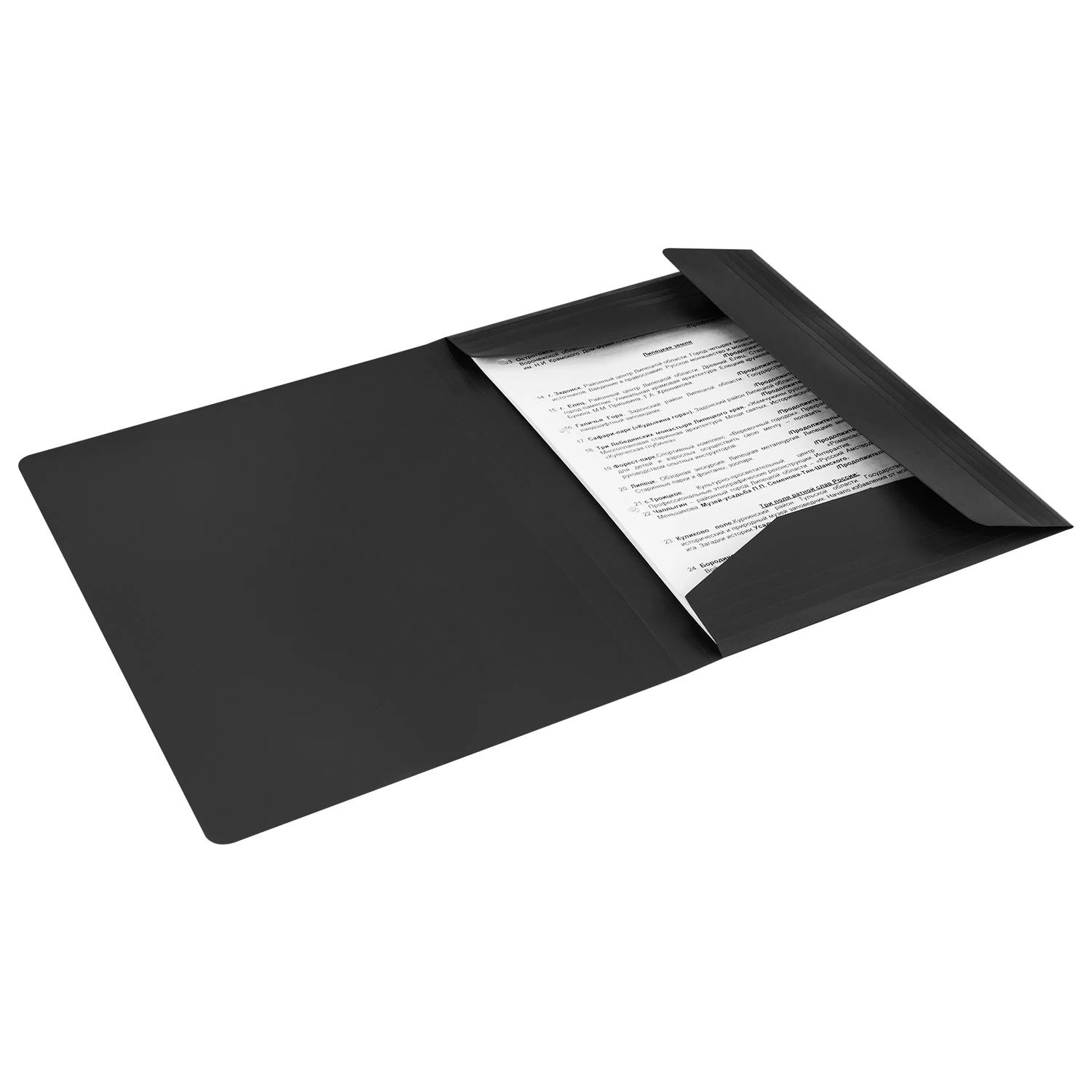 Папка на резинках А4 BRAUBERG 300 листов, 500 мкм, черная